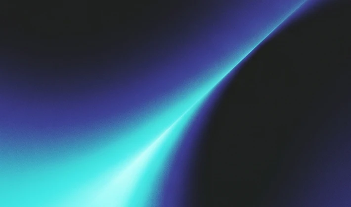 The SEOLUTION - Background